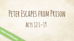 Inspire! Video Download - Peter Escapes from Prison (Acts 12:1-19)