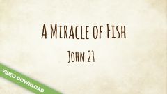 Inspire! Video Download - A Miracle of Fish (John 21:1-25)