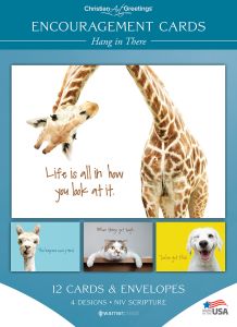 Encouragement - Hang in There - NIV - Box of 12 - Assorted Boxed Greeting Cards