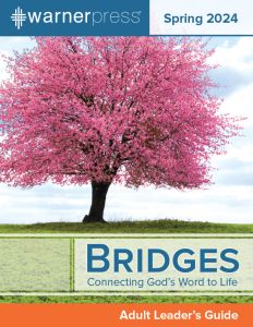(Spring) Bridges Teacher - Multiple Formats