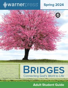 (Spring) Bridges Student (Large Print) - Multiple Formats