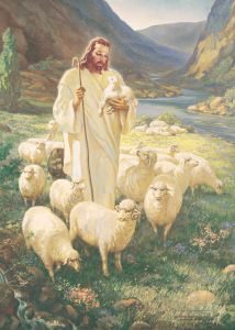 Sallman Art: "Good Shepherd" (multiple sizes)