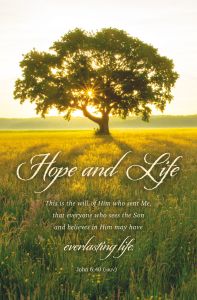 Funeral - Hope and Life - Standard Bulletin