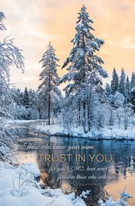 General - Trust in You, Psalm 9:10 (NIV) - Pkg 100 - Standard Bulletin