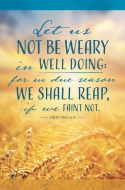 General - Let us not be weary - Standard Bulletin