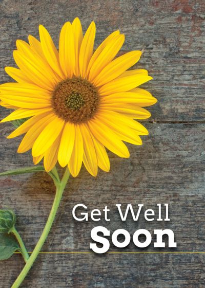 Boxed Greeting Cards - Get Well - Lift Your Spirits