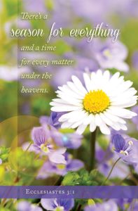Spring - There is a time for everything, Ecclesiastes 3:1 (CEB) - Pkg 100 - Standard Bulletin