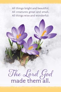 Seasonal - Winter - Lord God made them all - United Methodist Hymnal - Pkg 100 - Standard Bulletin