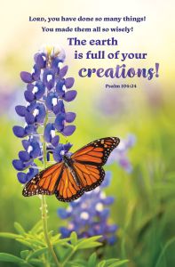 Summer - The Earth Is Full of Your Creations, Psalm 104:24 (CEB) - Pkg 100 - Standard Bulletin