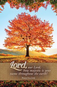 General - Fall - Psalm 8:1a (CEB) - Pkg 100 - Standard Bulletin