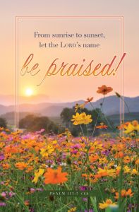 General - LORD'S Name be Praised - Psalm 113:3 (CEB) - Pkg 100 - Standard Bulletin 