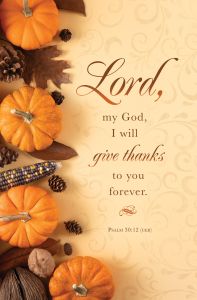 Thanksgiving—I will give thanks; Ps 30:12 (CEB)—Pkg 100—Standard Bulletin
