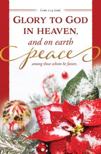 Christmas—Glory to God; Luke 2:14 (CEB)—Pkg 100—Standard Bulletin