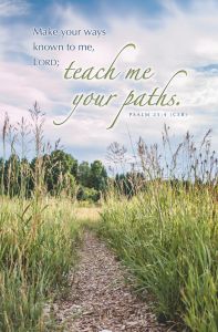 Summer – Teach Me Your Paths, Ps 25:4 (CEB) – Pkg 100 – Standard Bulletin