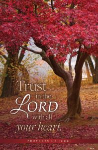 General/Fall—Trust in the Lord; Prov 3:5 (CEB)—Pkg 100—Standard Bulletin