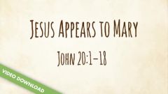 Inspire! Video Download - Jesus Appears to Mary (John 20:1-18)