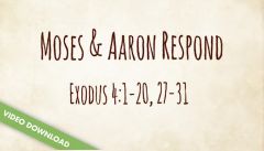 Inspire! Video Download - Moses and Aaron Respond (Exodus 4:1-20, 27-31)