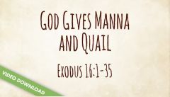 Inspire! Video Download - God Gives Manna and Quail (Exodus 16:1-35; Numbers 11)