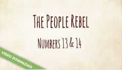 Inspire! Video Download - The People Rebel (Numbers 13:1-2, 25-33; 14:1-25)