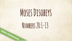 Inspire! Video Download - Moses Disobeys (Numbers 20:1-13)