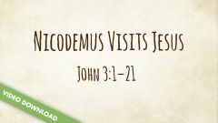 Inspire! Video Download - Nicodemus Visits Jesus (John 3:1-21)