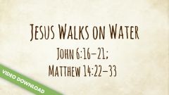 Digital Content | Jesus Walks on Water (John 6:16-21; Matthew 14:22-33)
