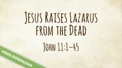 Inspire! Video Download - Jesus Raises Lazurus from the Dead (John 11:1-46)