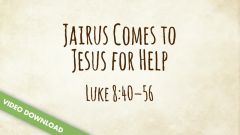 Inspire! Video Download - Jairus Comes to Jesus for Help (Luke 8:40-56)