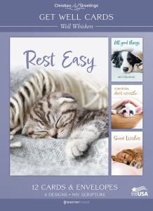 Get Well Cards – Well Whiskers – 12 Cards with NIV Scripture – Assorted Greeting Cards 
