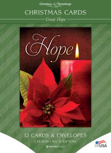 Christmas Cards – Great Hope – 12 Cards with NIV Scripture – Solid Pack Boxed Greeting Cards 