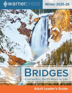 (Winter) Bridges Teacher - Multiple Formats