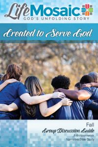 LifeMosaic Year 4 Fall Quarter - Digital Download