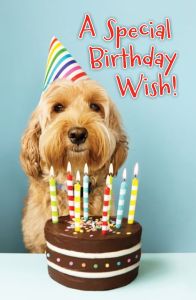 Postcard - Kids - Birthday - A Special Birthday Wish! - Psalm 34:8 (NIV) - Pkg of 25 
