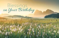 Birthday—Blessings on Your Birthday; Numbers 6:24–25 (KJV)—Pkg 25—Postcard