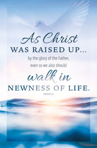 Standard Bulletin | Baptism
