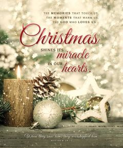 Christmas Legal Bulletin - Christmas shines it miracle