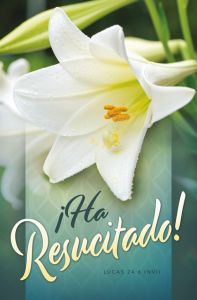 Easter - Spanish - Ha resucitado! - Standard Bulletin