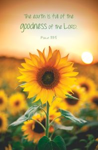 General-Psalm 33:5 (KJV)-Pkg 100-Standard Bulletin