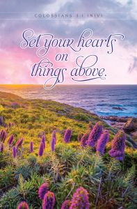 General-Set Your Hearts; Colossians 3:1 (NIV)-Pkg 100-Standard Bulletin