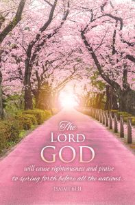 General — Spring — The Lord God Will Cause Righteousness; Isaiah 61:11 (KJV) — Pkg 100 – Standard Bulletin 