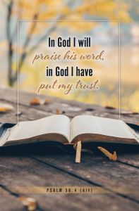 General—Psalm 56:4 (KJV)—Pkg 100—Standard Bulletin