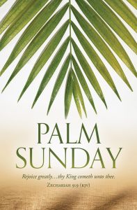 Palm Sunday – Rejoice Greatly, Zec 9:9  (KJV) – Pkg 100 – Standard Bulletin