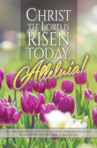 Easter – Christ the Lord Is Risen Today, Mark 16:6 (NIV) – Pkg 100 – Standard Bulletin
