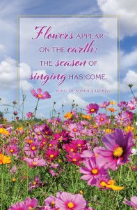General — Flowers appear on the earth; Song 2:12 (NIV) — Pkg 100 – Standard Bulletin 