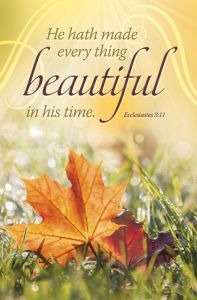 General Worship Standard Bulletin - He hath made every thing beautiful in his time