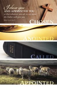 Installation and Ordination - I chose and appointed you - Standard Bulletin