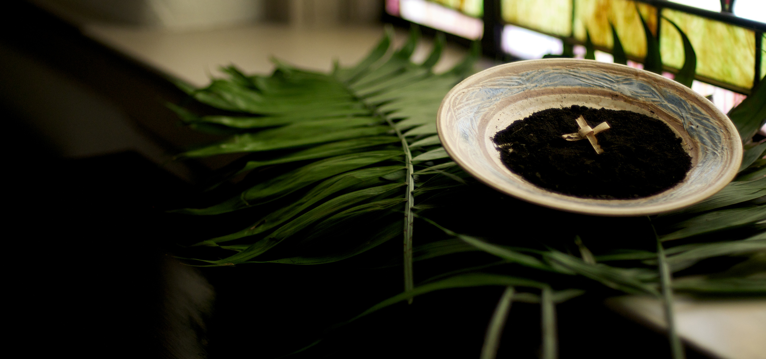 Lessons from the Ashes