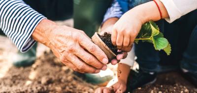 How Do Your Gardens Grow?