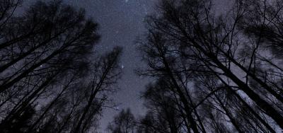 God Brings Peace & Healing at the Cabin