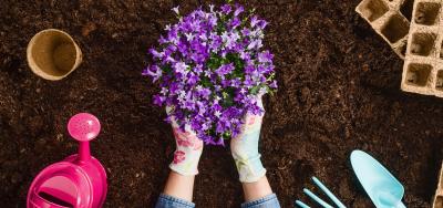 Springing Into Faith